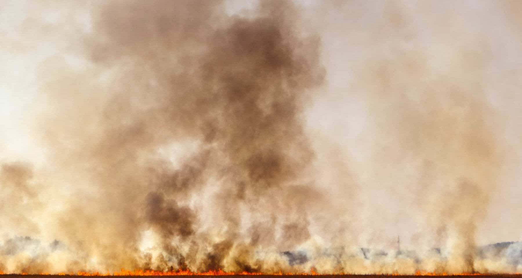 hinterlassen-agenturen-verbrannte-erde-bei-ihren-kunden